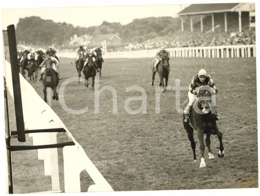 1953 ROYAL ASCOT - Ted FORDYCE on PLUCHINO winning the Ascot Stakes *Photo