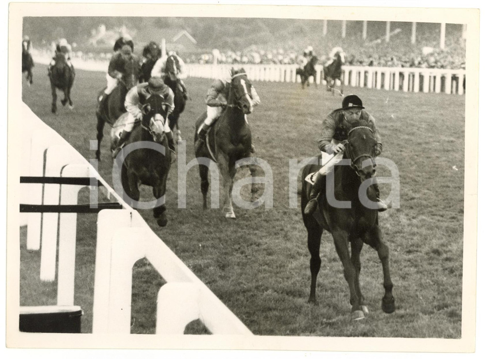 1953 ASCOT - ROYAL HUNT CUP Doug SMITH winning with the Queen's horse CHOIR BOY