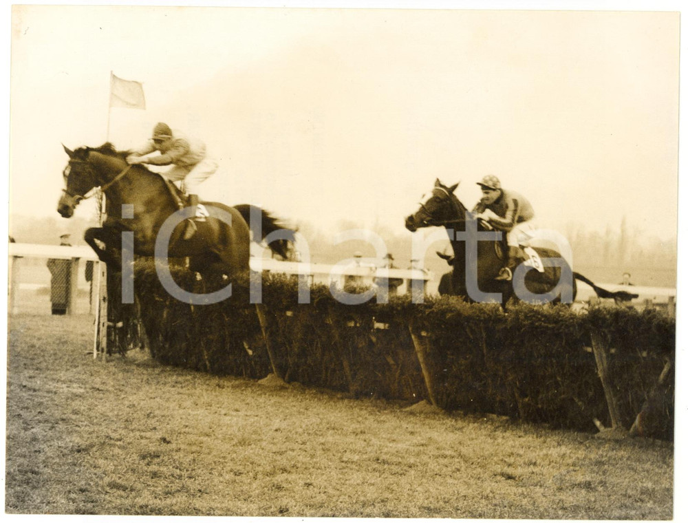 1958 SANDOWN PARK Winter Hurdle Race - Lester PIGGOTT winning on ROYAL TASK