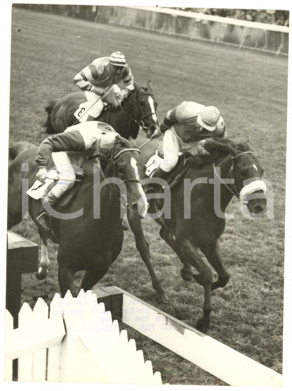 1953 GOODWOOD - William Henry CARR on HILLTOP fighting for victory *Photo 15x20