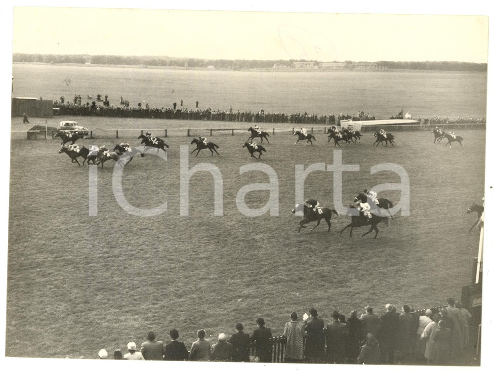 1955 NEWMARKET Cambridgeshire Stakes - Peter ROBINSON winning on RETRIAL *Photo