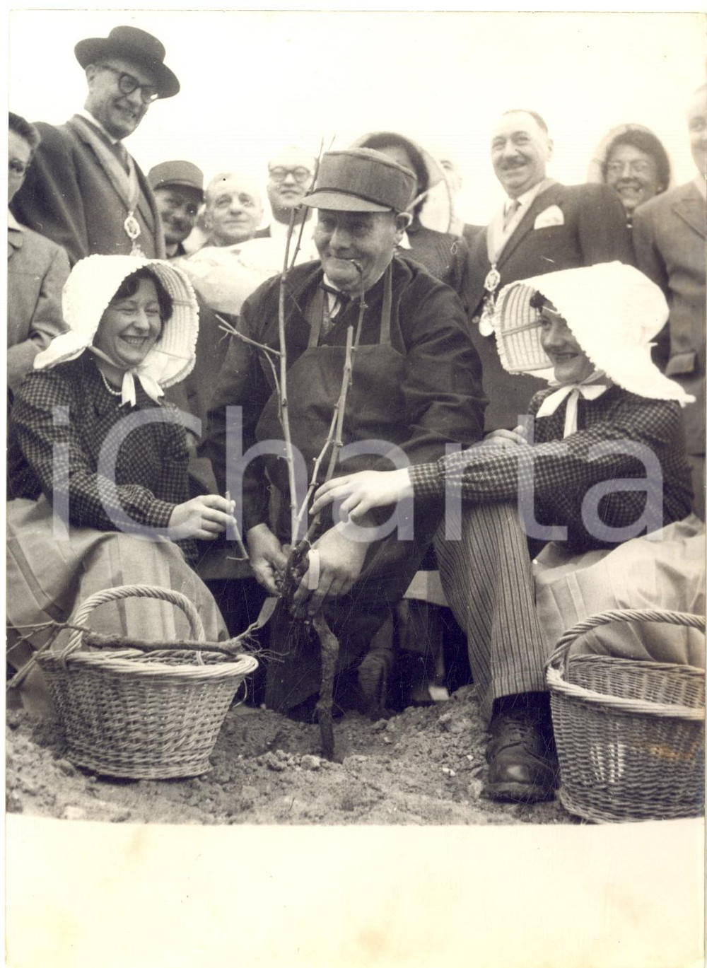 1954 PARIS MONTMARTRE Vigneron plante un cep des vignes d'EPERNAY *Photo 13x18