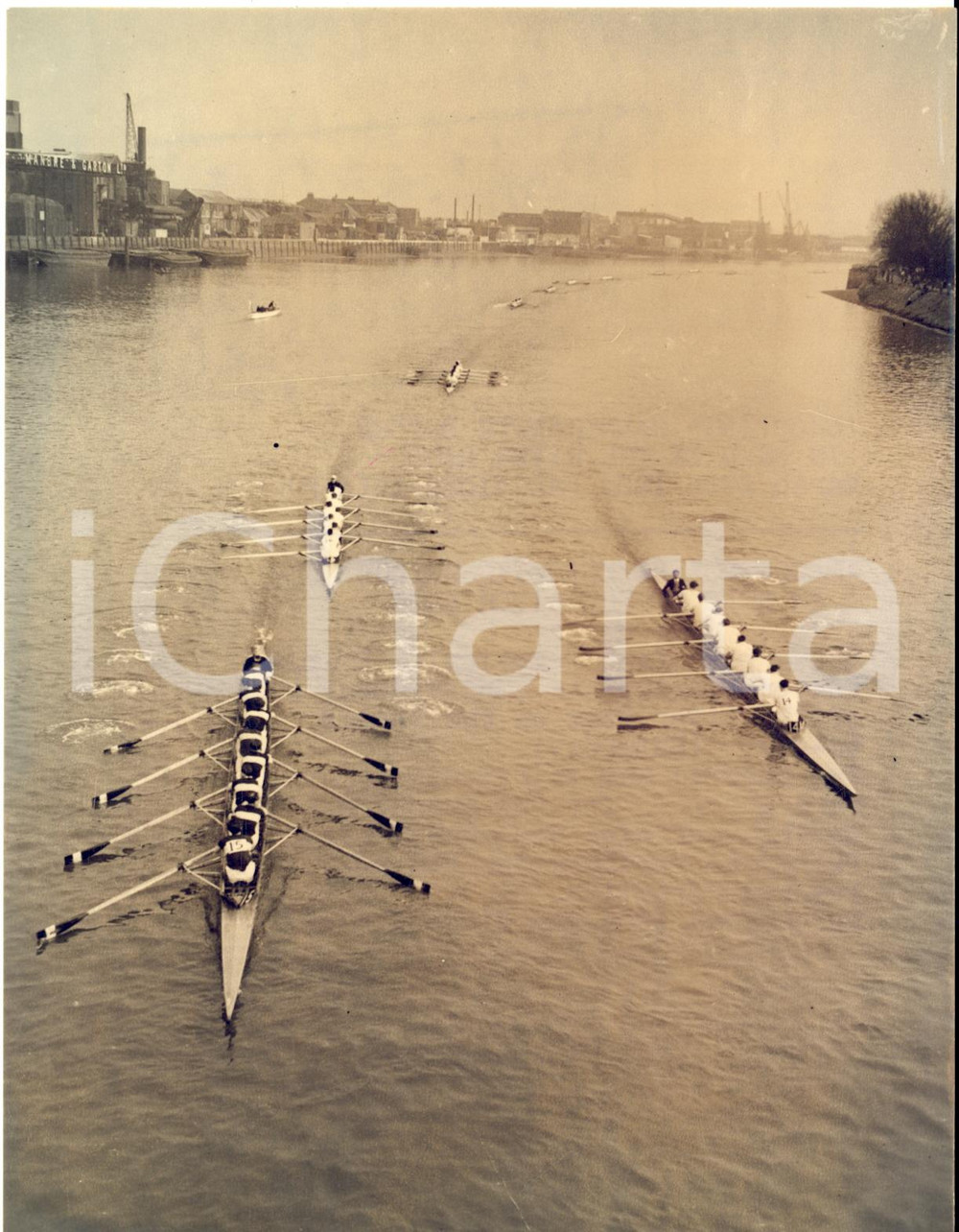1954 LONDON Hammersmith Bridge - Crews during the TIDEWAY HEAD of RIVER RACE