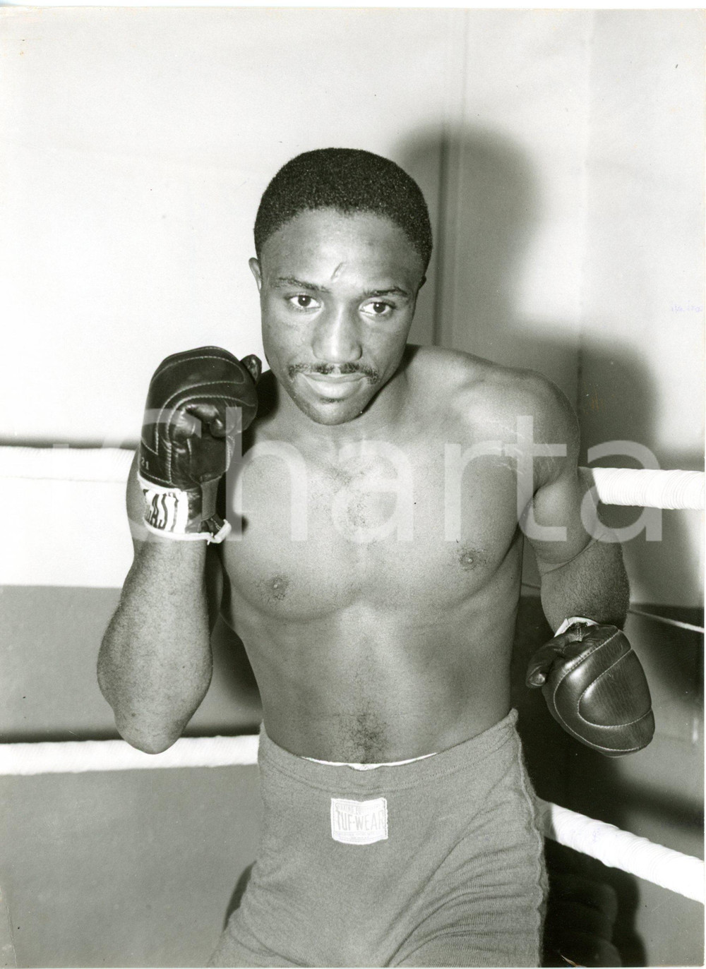 1959 LONDON - BOXE - Portrait of Davey MOORE world featherweight champion *Photo