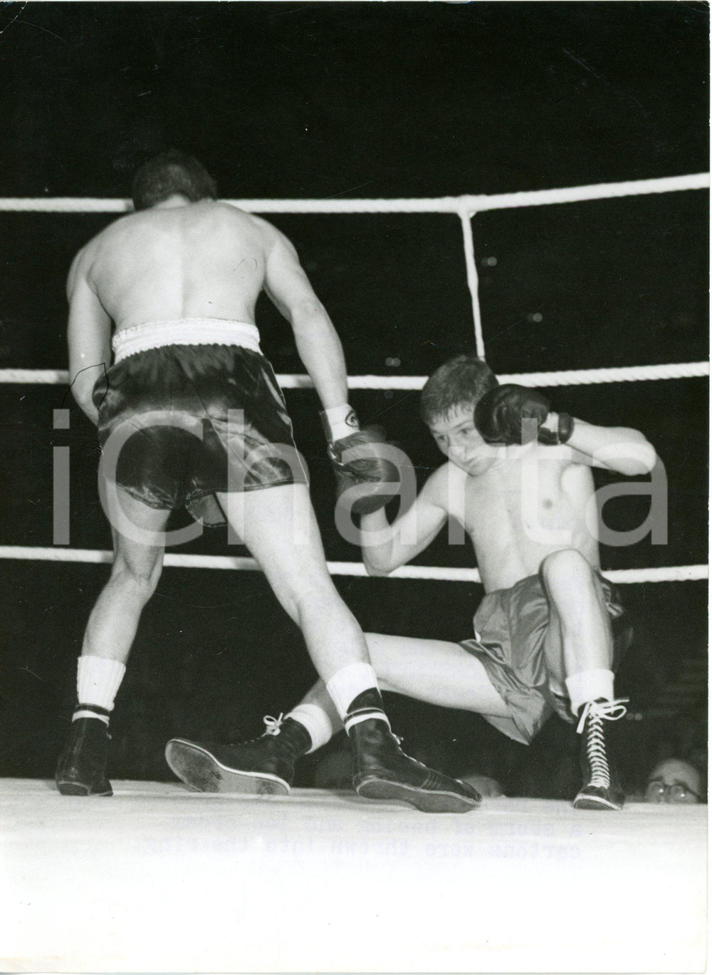 1958 LONDON - BOXE - Terence SPINKS falling down after Pierre COSSEMYNS's hit