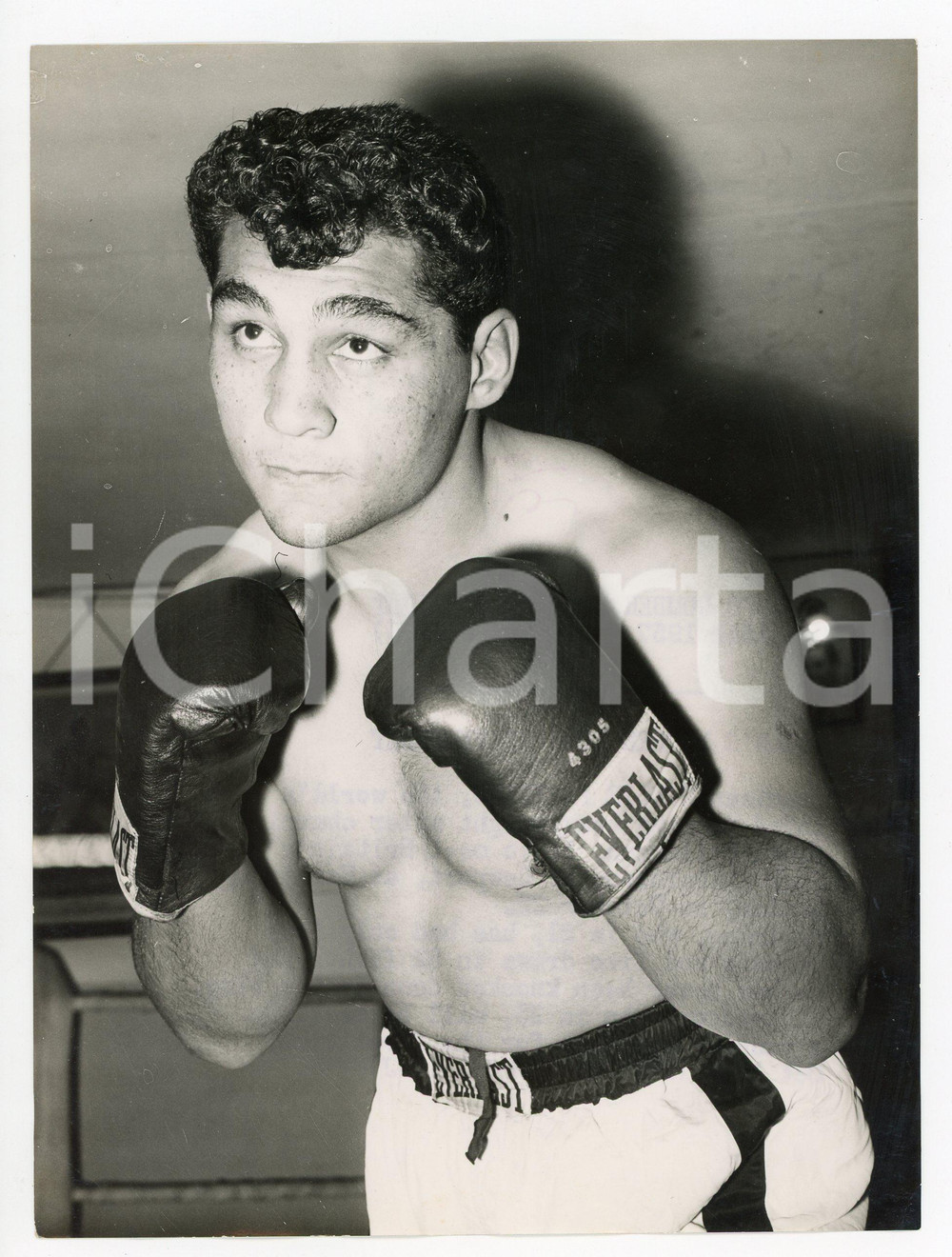 1957 LONDON BOXE Heavyweight - Portrait of American Willie PASTRANO *Photo 15x20
