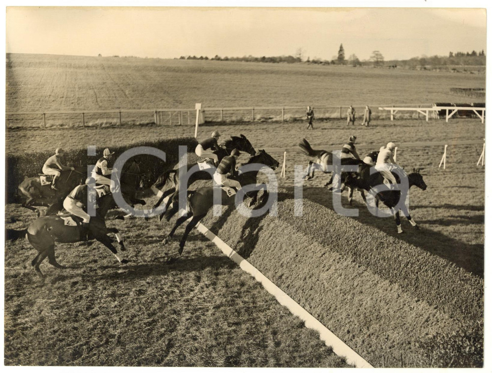 1954 LINGFIELD PARK Guest Hall Selling Handicap - Horses jumping the first fence