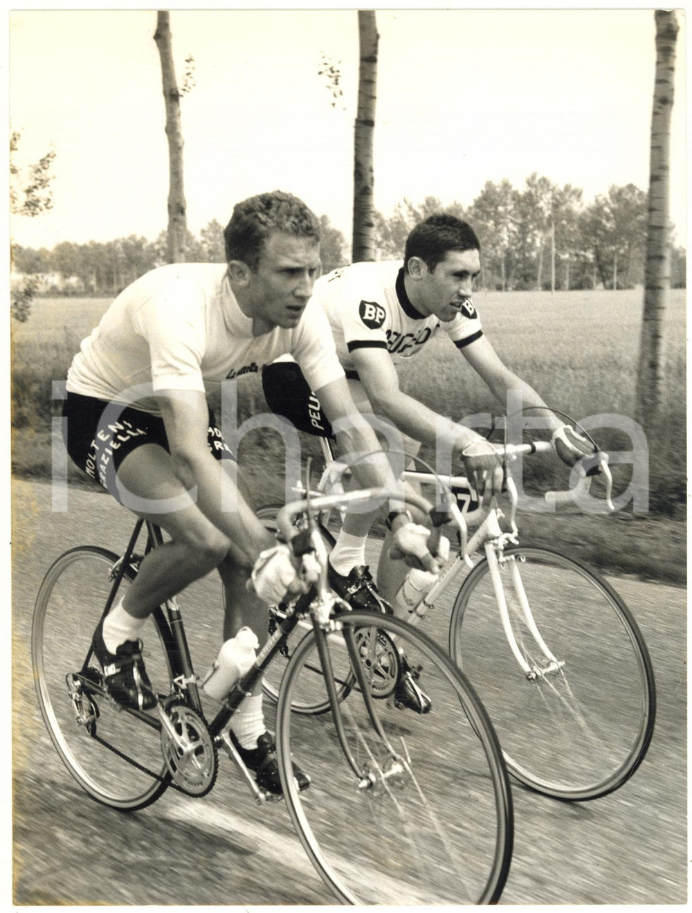 1967 CICLISMO GIRO D'ITALIA 1^ tappa - Gianni MOTTA Eddy MERCKX *Foto 18x24 cm
