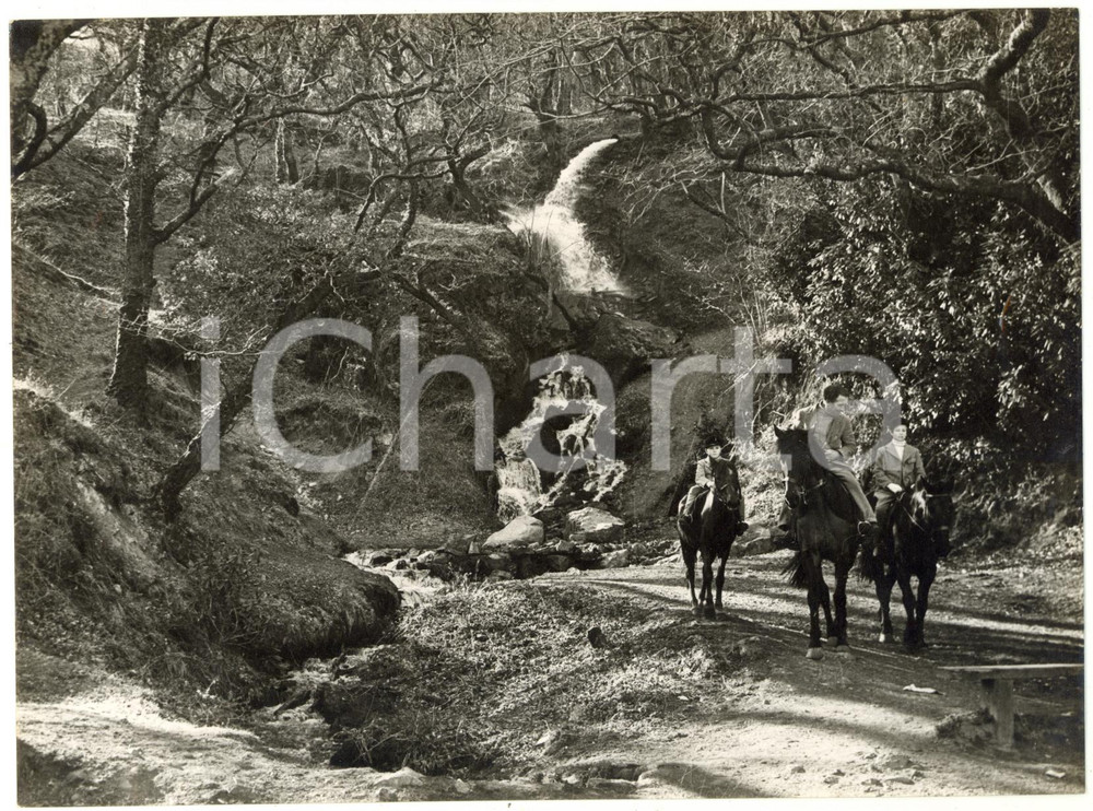 1957 DARTMOOR NATIONAL PARK (DEVON) Riders passing through the woods *Photo