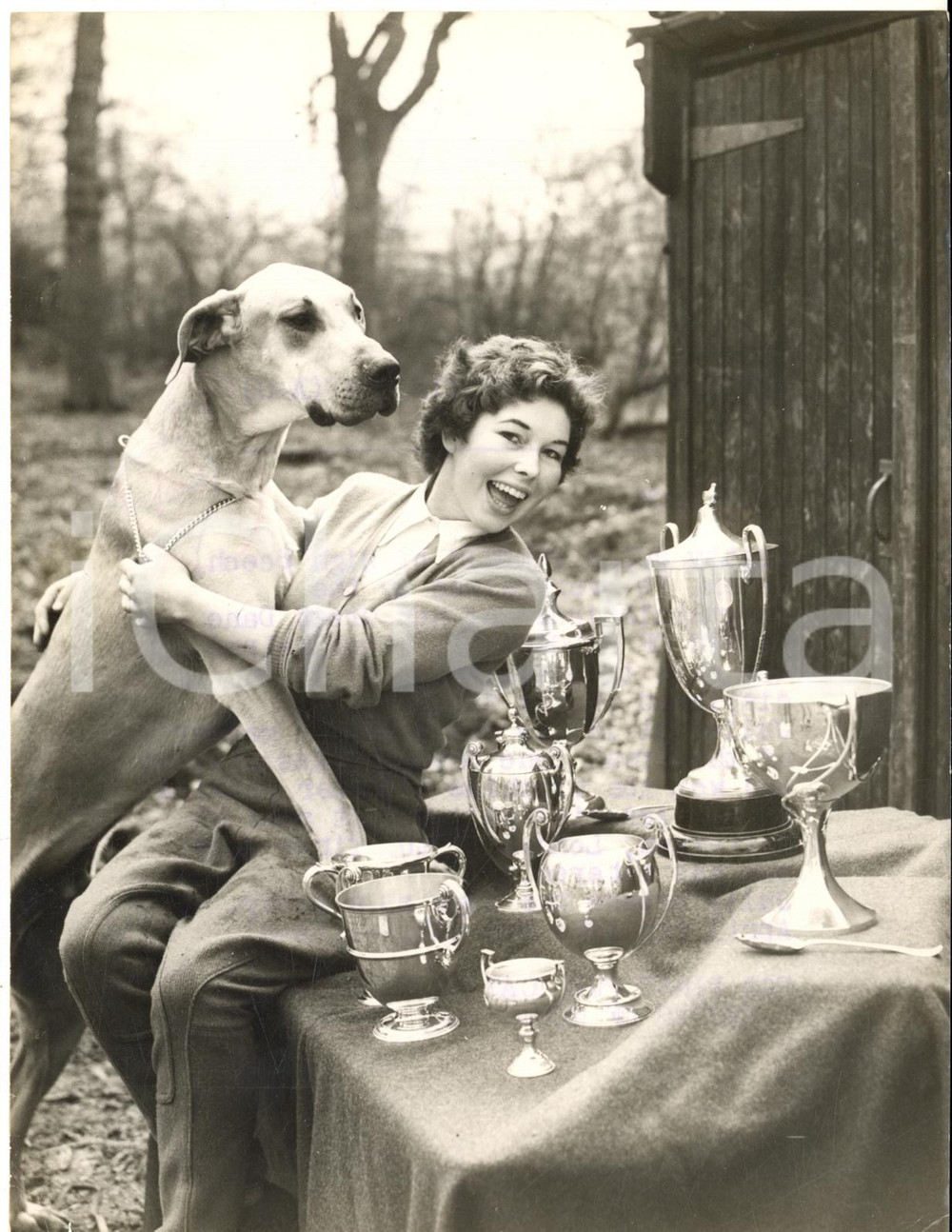 1954 HIGH BEECH Julie PRENTIS of Great Dane Breeders Association with trophies