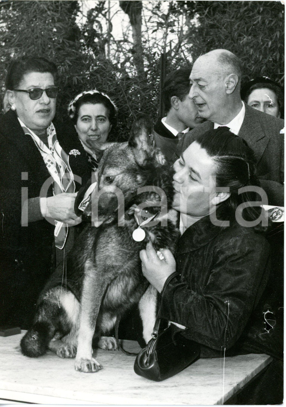 1959 NAPOLI Premiazione del cane JIMMY per il salvataggio della padrona - Foto