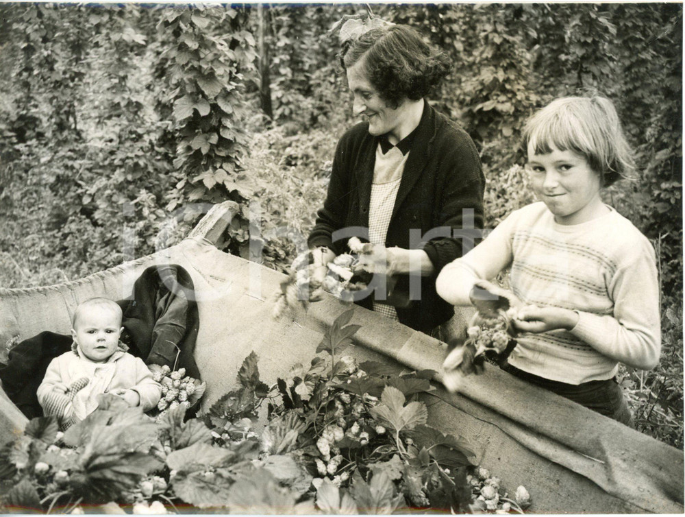 1957 LUCKLEY COURT FARM Lily HARRIS hopping with her daughters - Photo 20x15