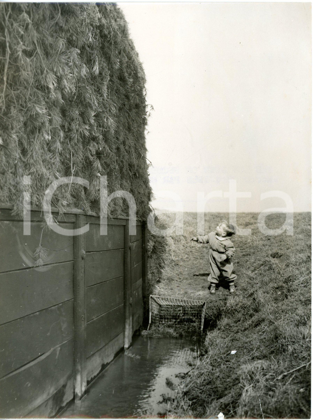 1958 AINTREE Two-year-old Martin SHAW looking at a feared fence of the race