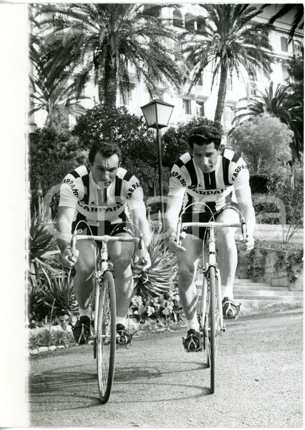 1959 BORDIGHERA CICLISMO Gastone NENCINI e Nino DEFILIPPIS durante l'allenamento