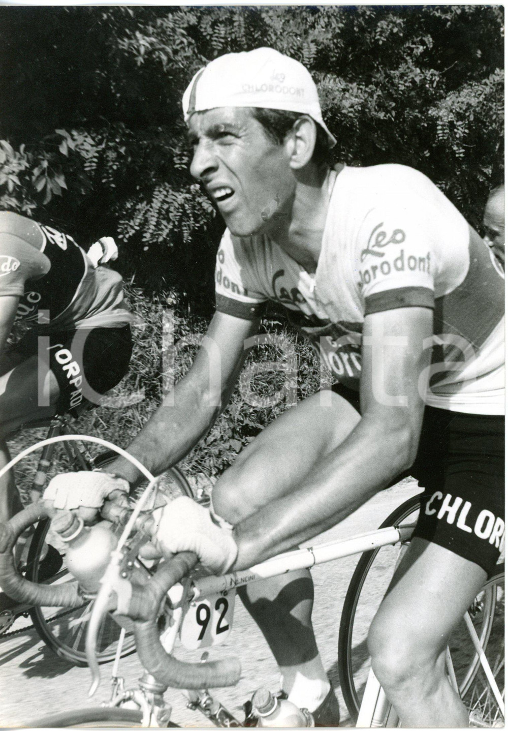 1956 CICLISMO GIRO D'ITALIA Tappa Roma-Grosseto - Gastone NENCINI in gara