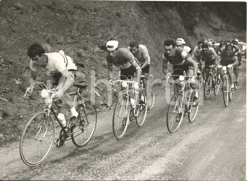 1961 TOUR DE FRANCE Imerio MASSIGNAN Jacques ANQUETIL Charly GAUL André FOUCHER