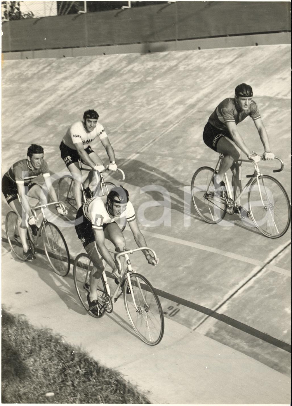 1955 ca CICLISMO PADOVA Pistard azzurrabili in allenamento al velodromo - Foto