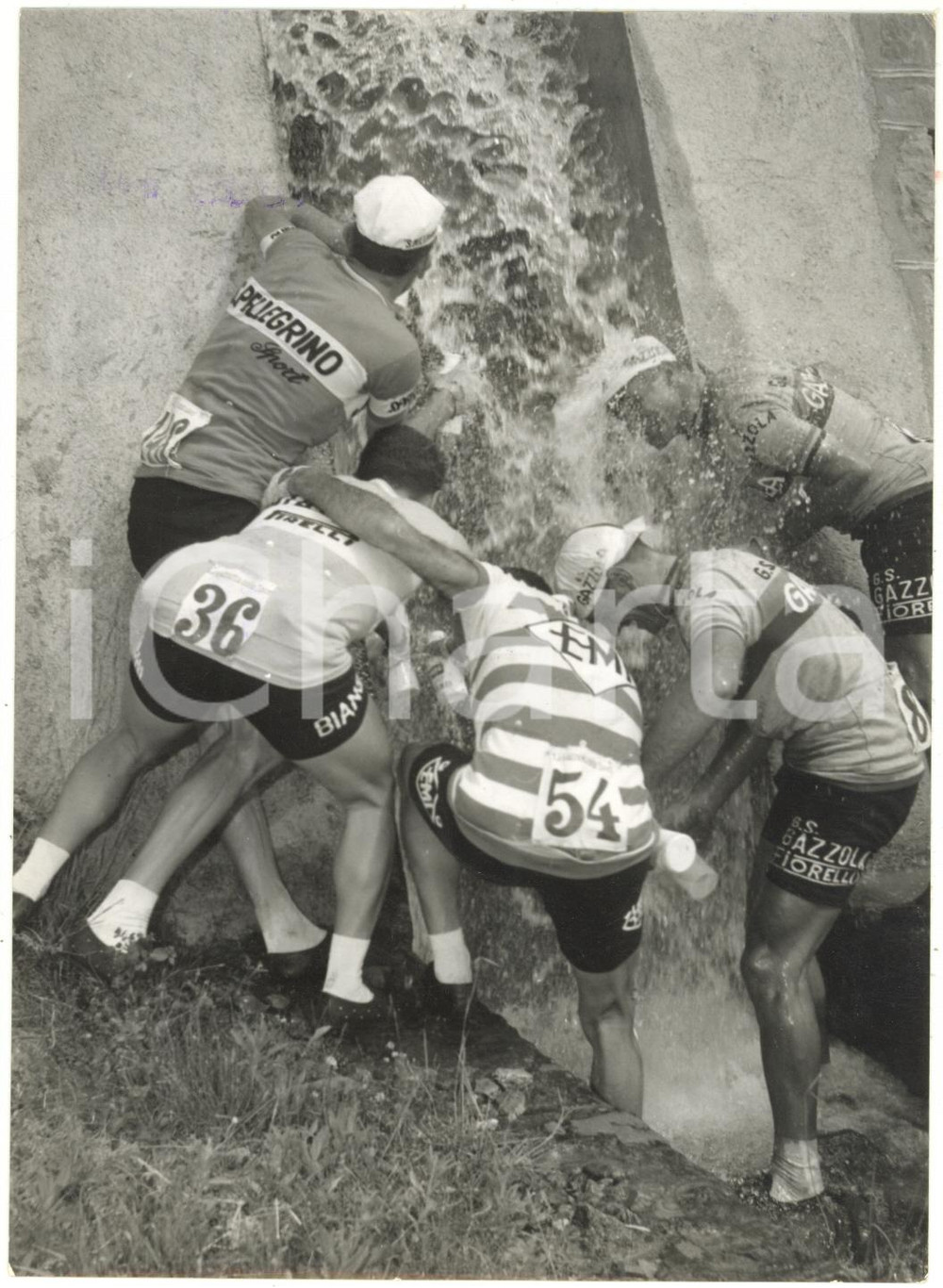 1961 CICLISMO GIRO D'ITALIA SICILIA  6^ tappa - I corridori a una fontana