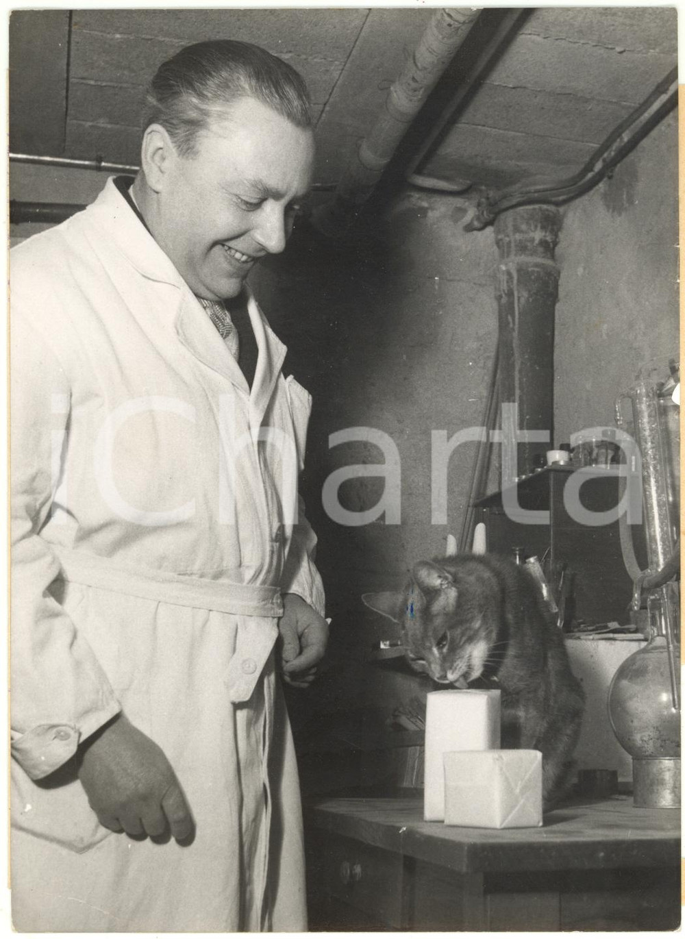1960 ca PARIS - Inventeur VIRMOUX avec un chat et le nouveau lait en morceaux