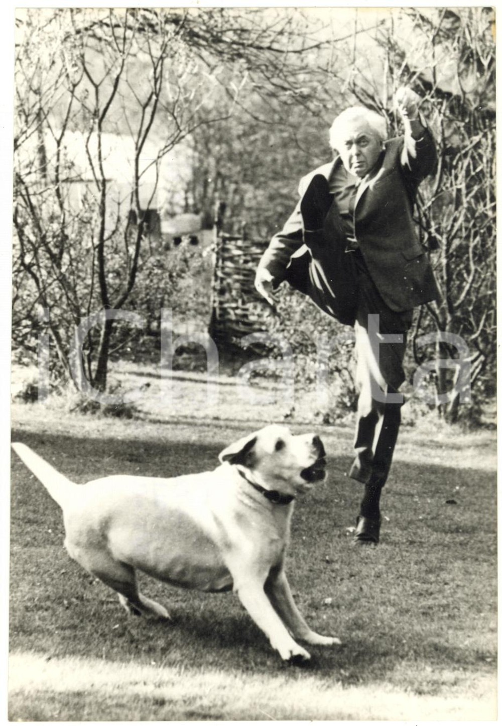 1974 REGNO UNITO - Primo ministro Harold WILSON gioca con il cane *Foto