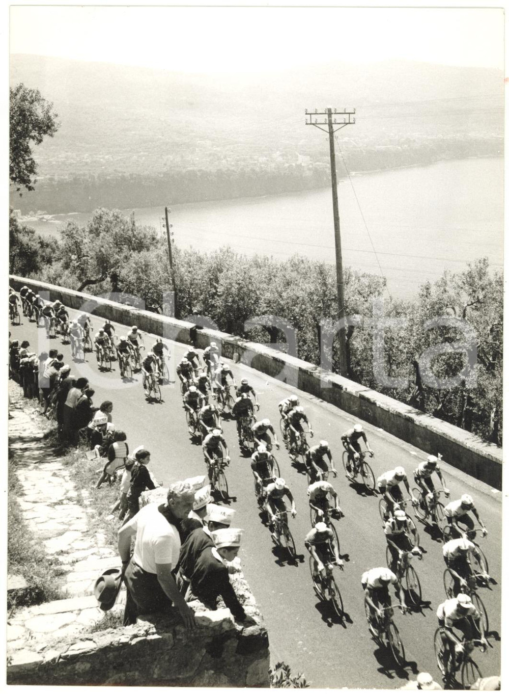1960 Area di AVELLINO - CICLISMO - GIRO D'ITALIA 3^ Tappa - Passaggio del gruppo