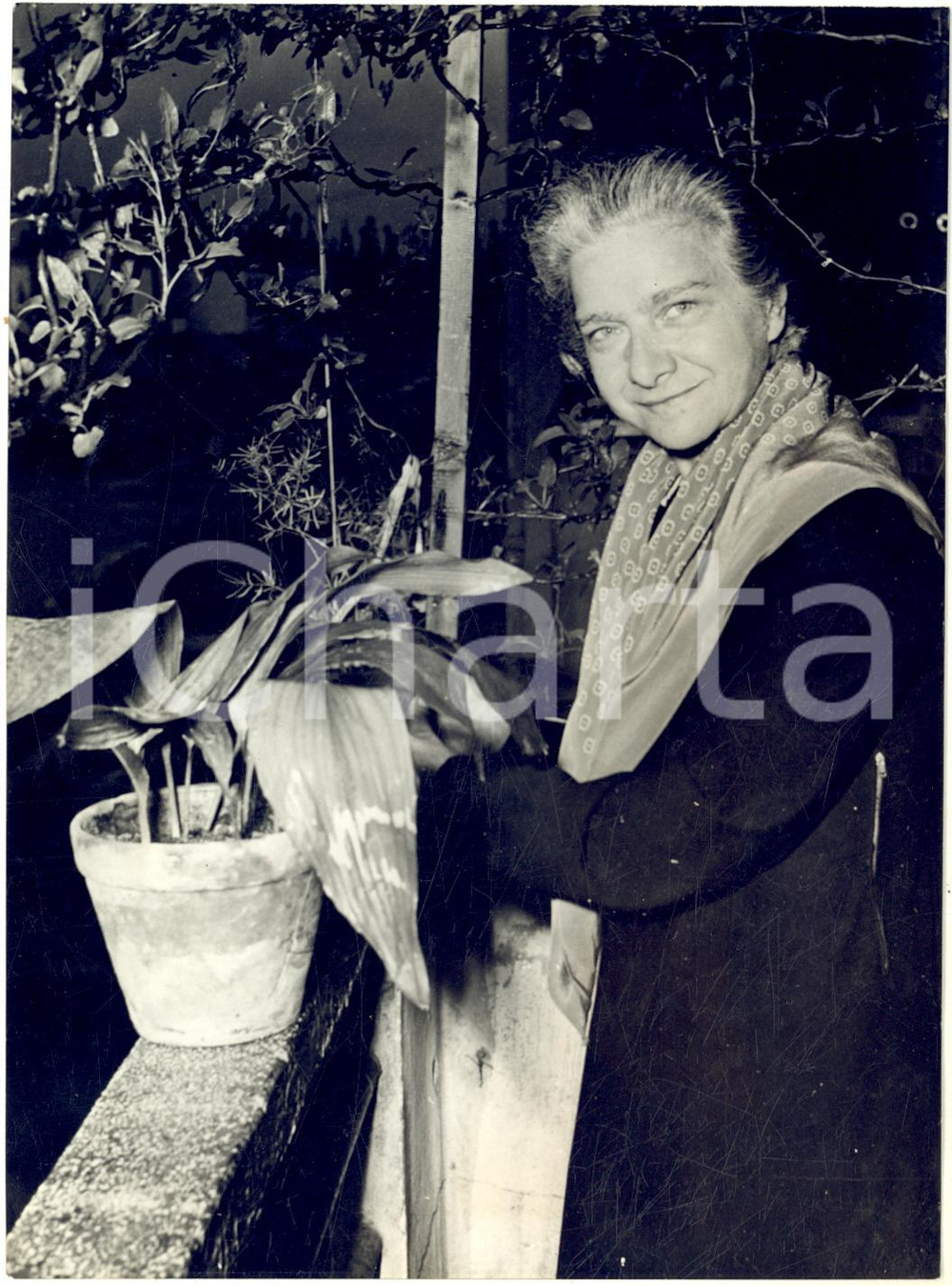 1953 ROVIGO Maria ZENATTI vincitrice del concorso BBC su Radio Londra *Foto