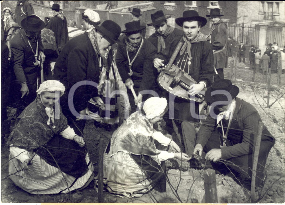 1955 ca PARIS MONTMARTRE Confrérie des vignerons de TANNAY plante des ceps