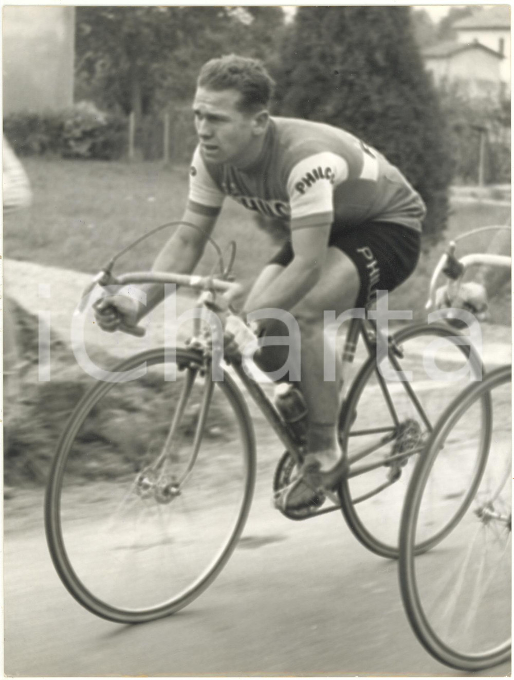 1962 CICLISMO - MILANO-SANREMO - Il vincitore Emile DAEMS squadra PHILCO *Foto