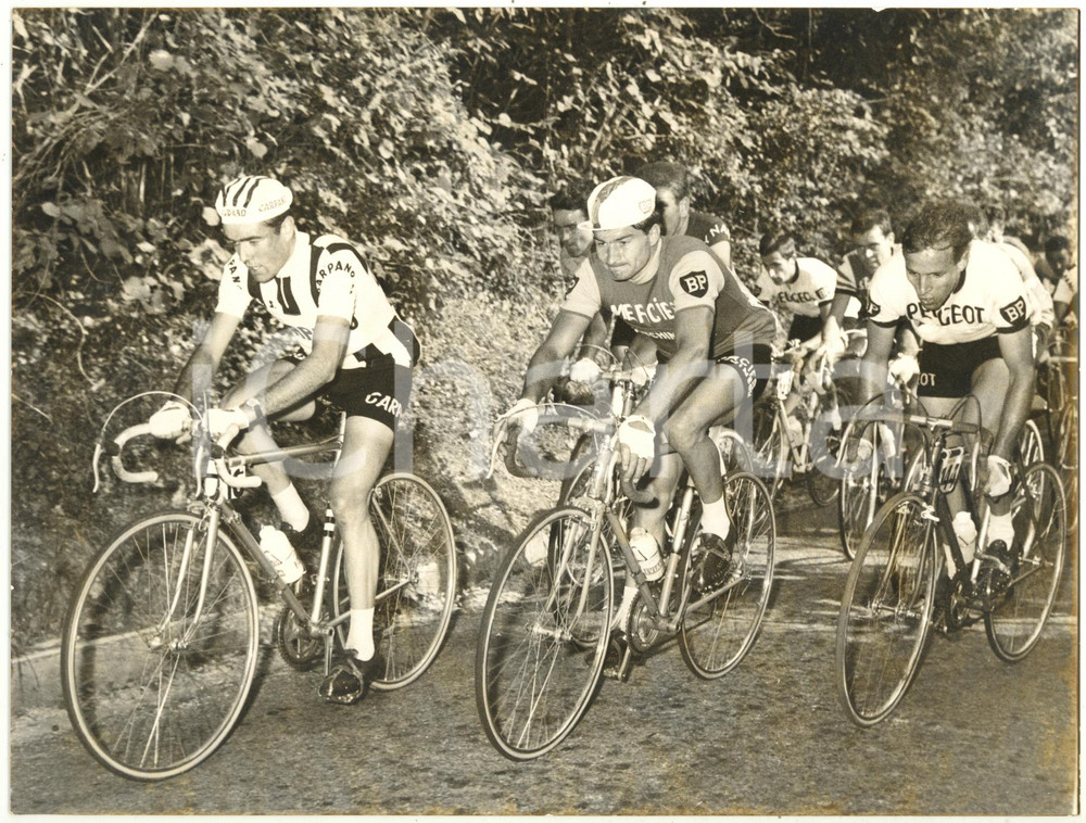 1963 Area di COMO CICLISMO Giro di Lombardia - Franco BALMAMION Raymond POULIDOR