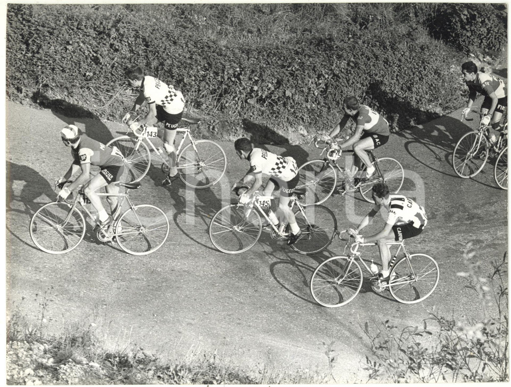 1963 COLLE DEL GHISALLO - CICLISMO Giro di Lombardia - Il gruppo in salita *Foto