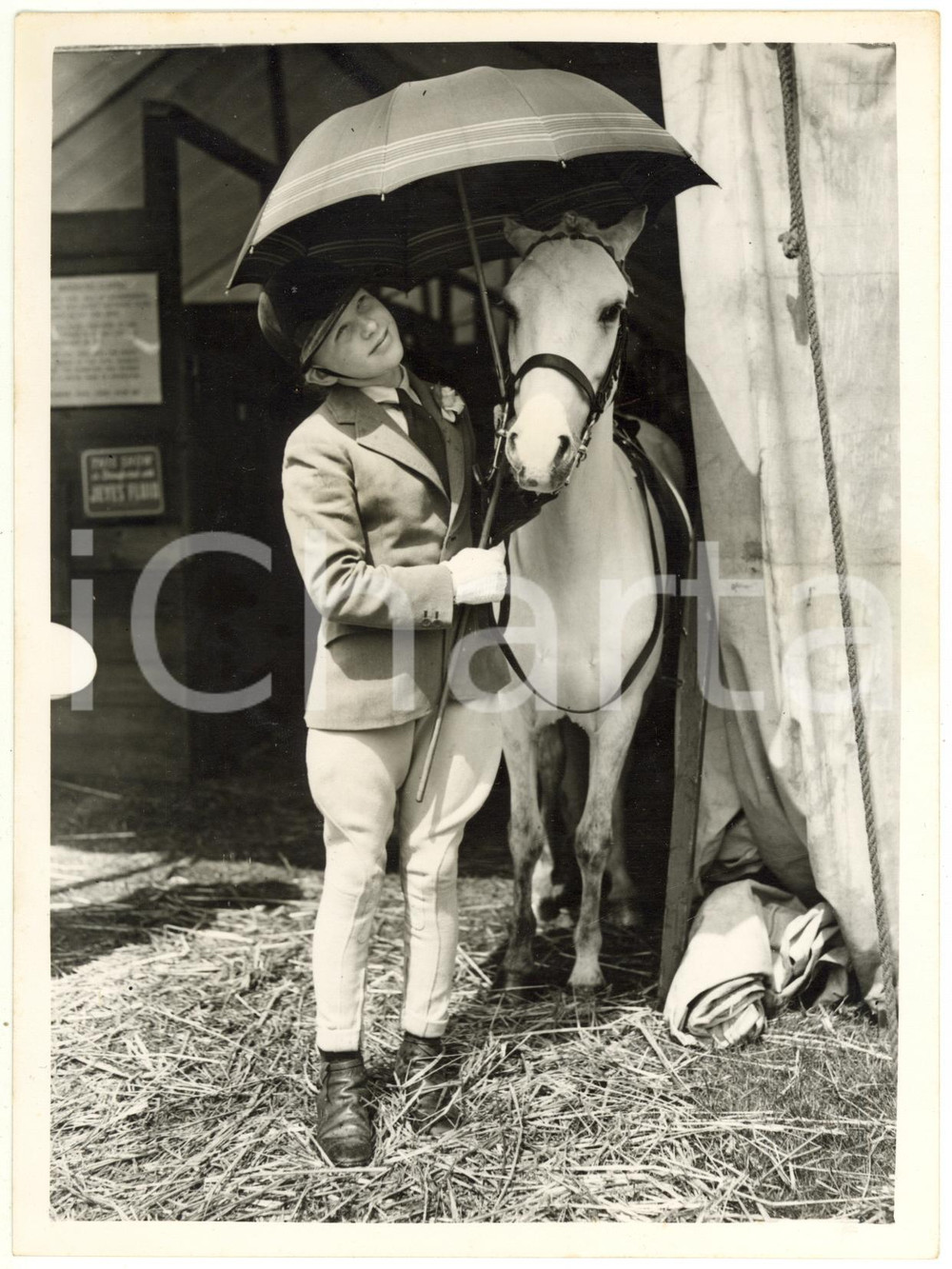 1954 RICHMOND HORSE SHOW - Susan SLATER HUNT with GREY NIGHT under the umbrella