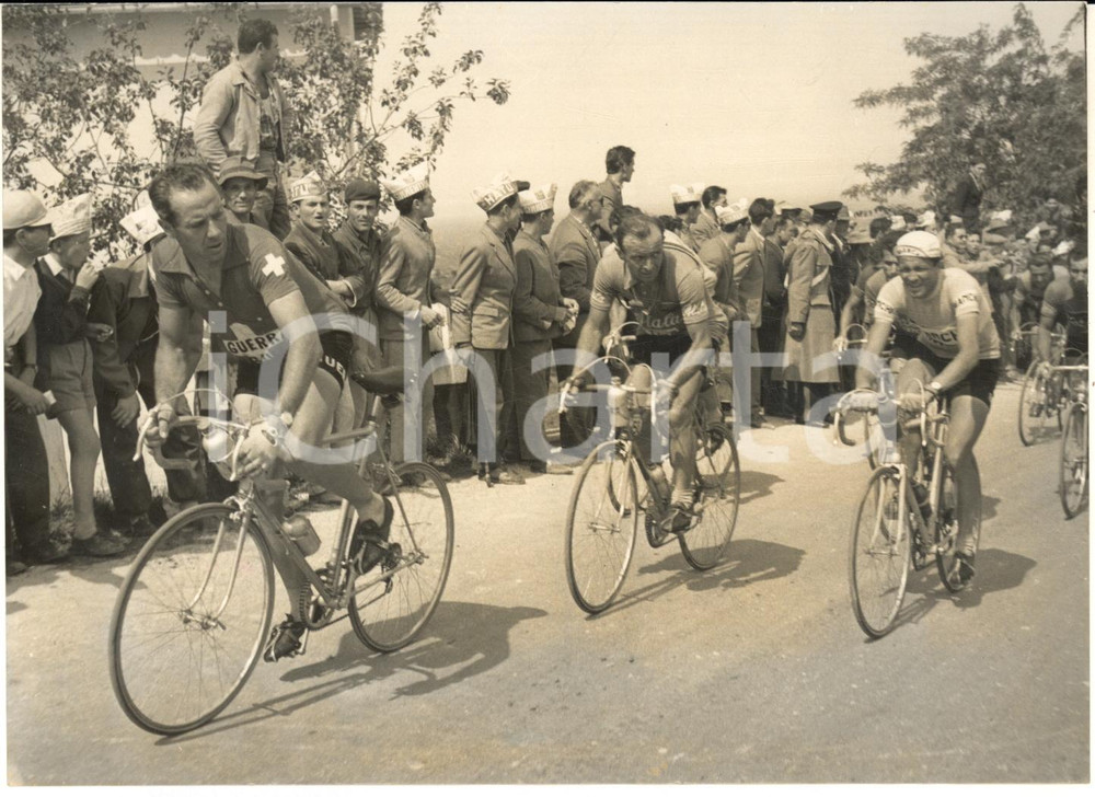 1954 GIRO D'ITALIA Hugo KOBLET Giancarlo ASTRUA Ettore MILANO sull'Abetone *Foto