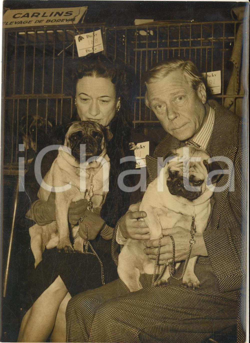 1956 PARIS Exposition canine - Les ducs de Windsor avec leurs chiens lauréats