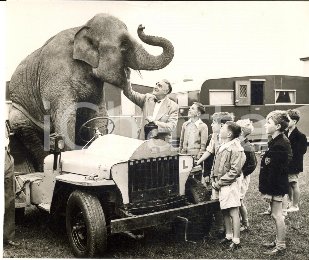 1957 PENZANCE (CORNWALL) Elephant SALLY from BERTRAM MILLS CIRCUS on a car