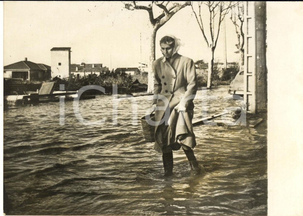 1959 FREJUS (FRANCE) Inondation après des pluies incessantes - Photo 18x13 cm
