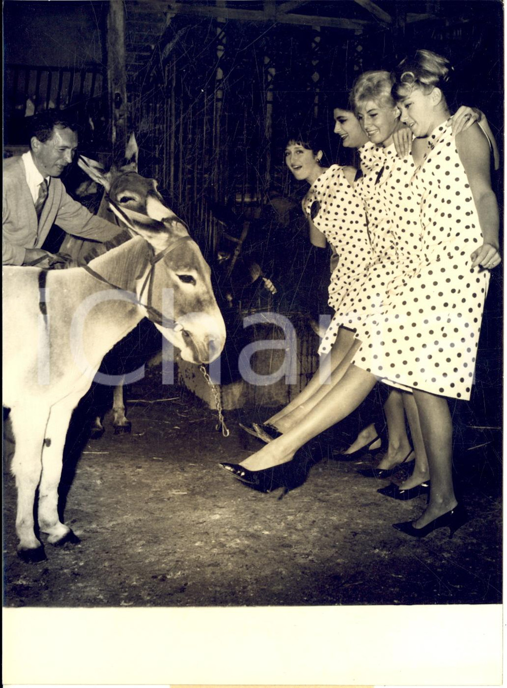 1962 PARIS MODE Mannequins avec de nouveaux bas et un mulet *Photo 13x18 cm