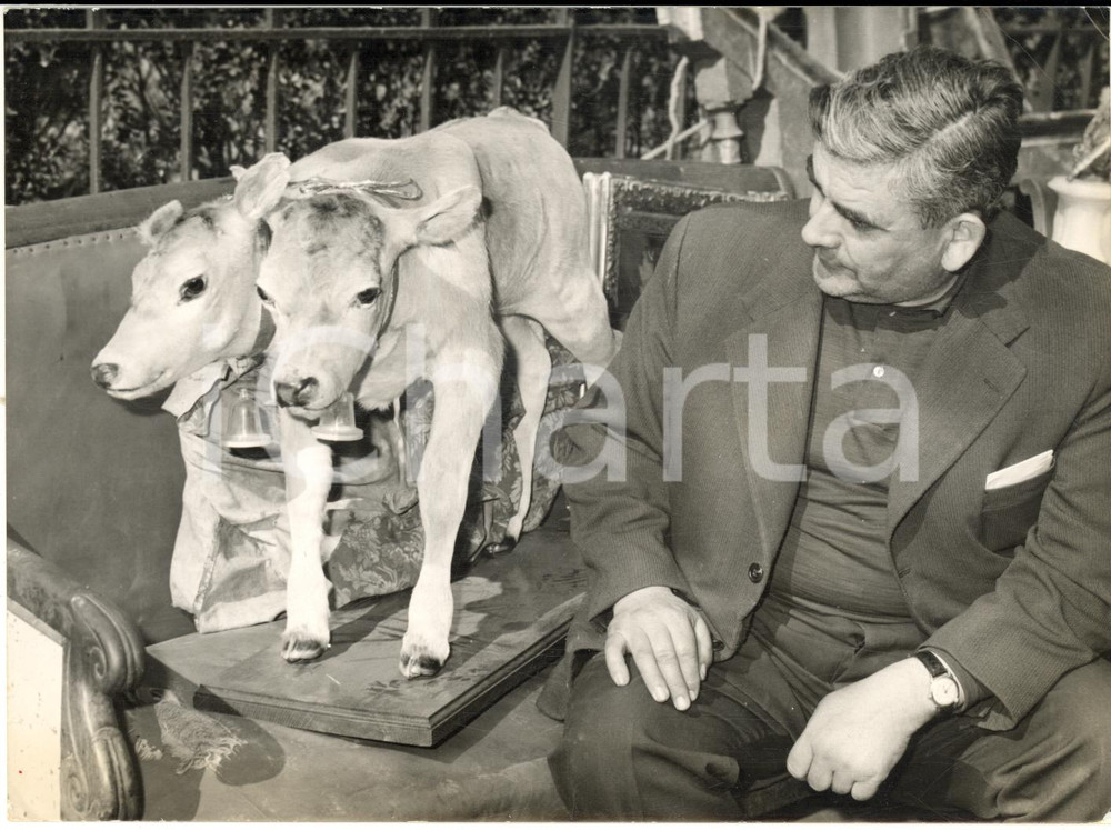 1961 PARIS Foire à la Ferraille - Vendeur avec un veau à deux têtes *Photo 18x13