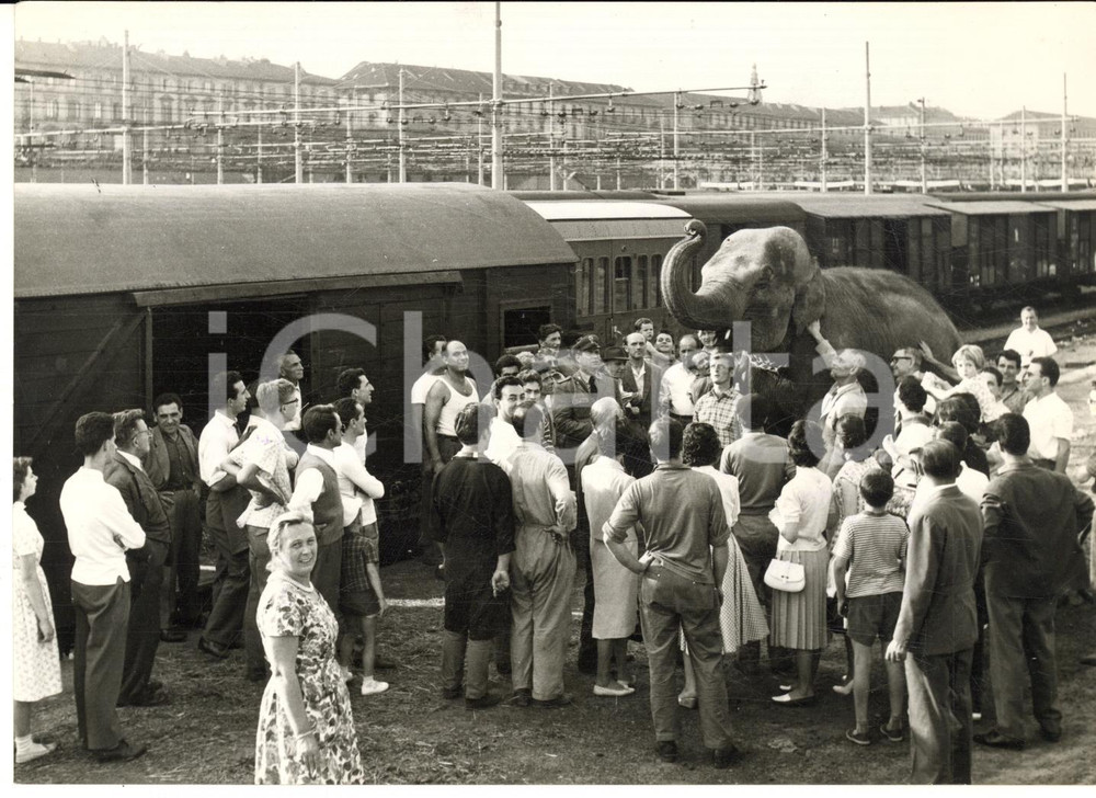1959 TORINO Stazione Porta Nuova - Partenza elefante JUMBO per spedizione Alpi