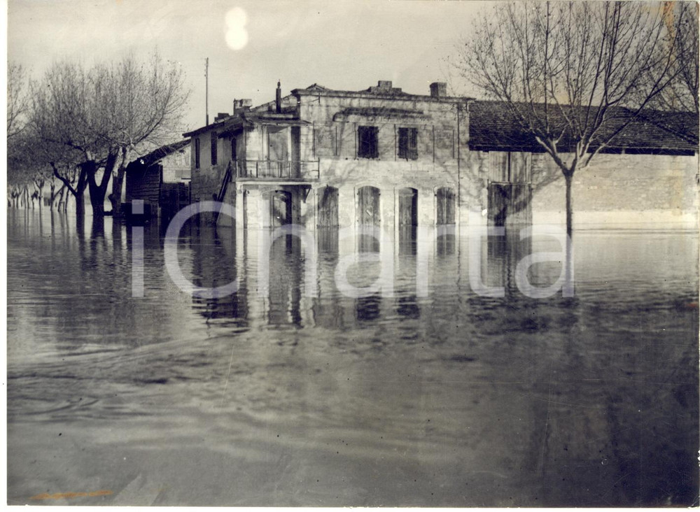 1955 BEAUCAIRE (GARD) Inondation du Rhône - Maisons entourées par les eaux