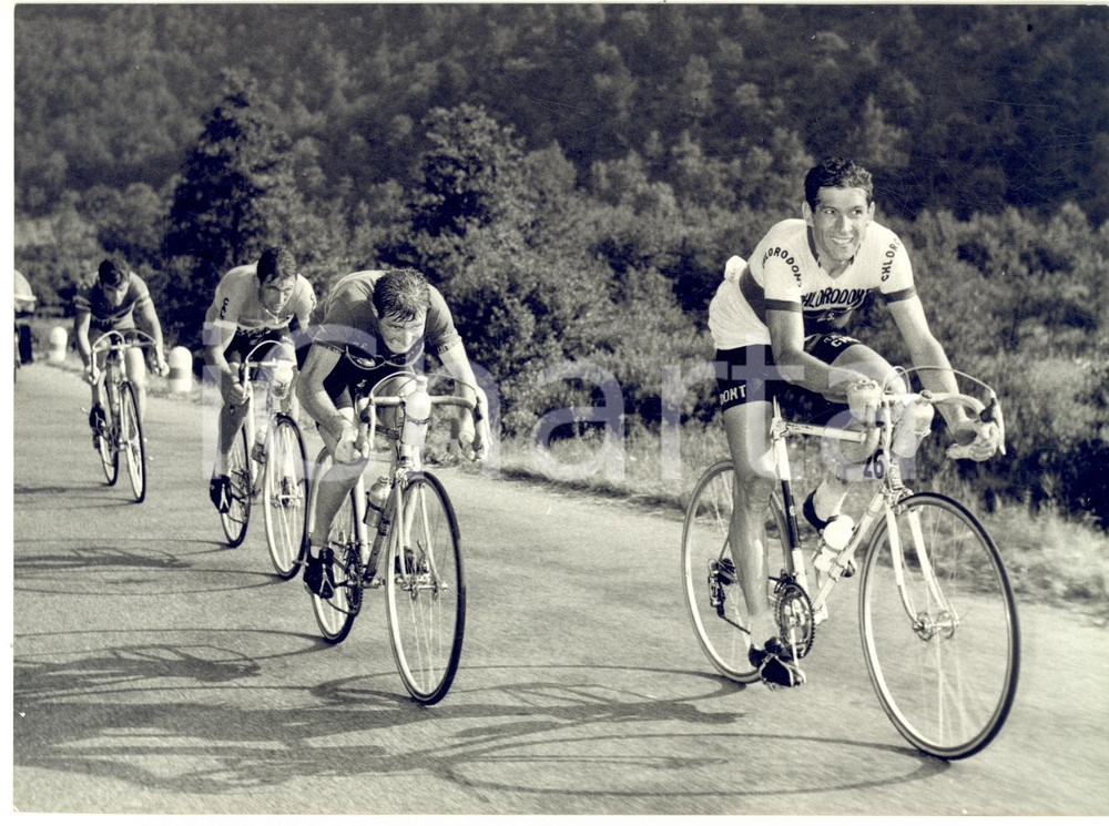 1958 CICLISMO TRE VALLI VARESINE Aldo MOSER Gastone NENCINI Giorgio TINAZZI