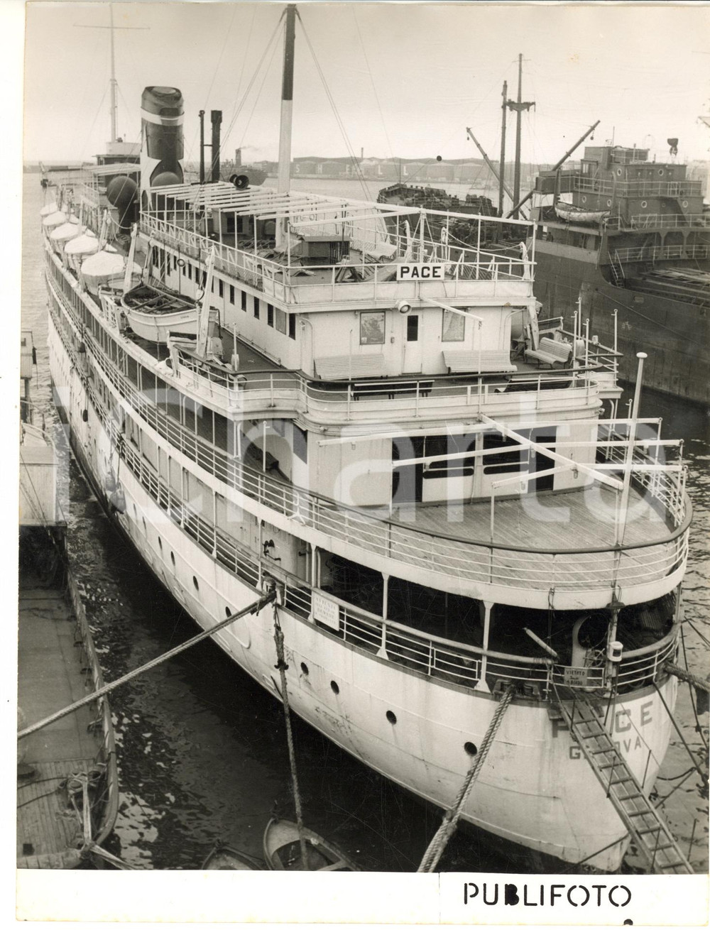 1955 Porto di GENOVA - Piroscafo PACE ormeggiato *Fotografia 18x24 cm (3)