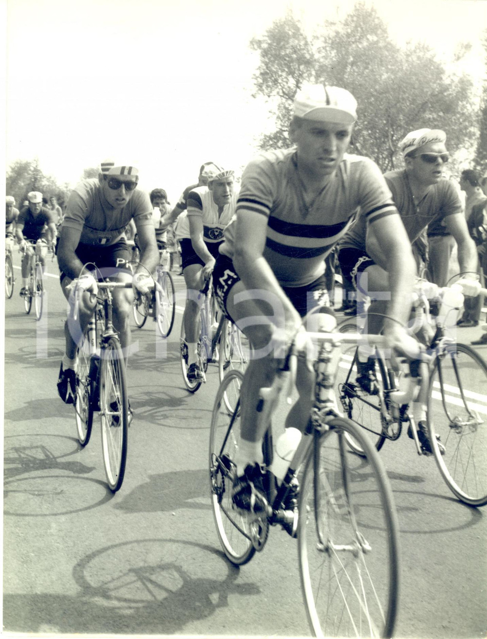 1962 SALÒ Mondiali CICLISMO - Guido CARLESI e Rik VAN LOOY - Foto 18x24 cm