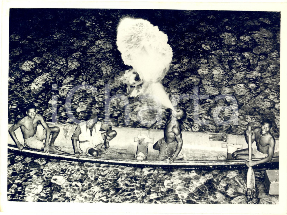1953 MONTEGO BAY (JAMAICA) "Flame thrower" prepares for Elizabeth II Royal Visit