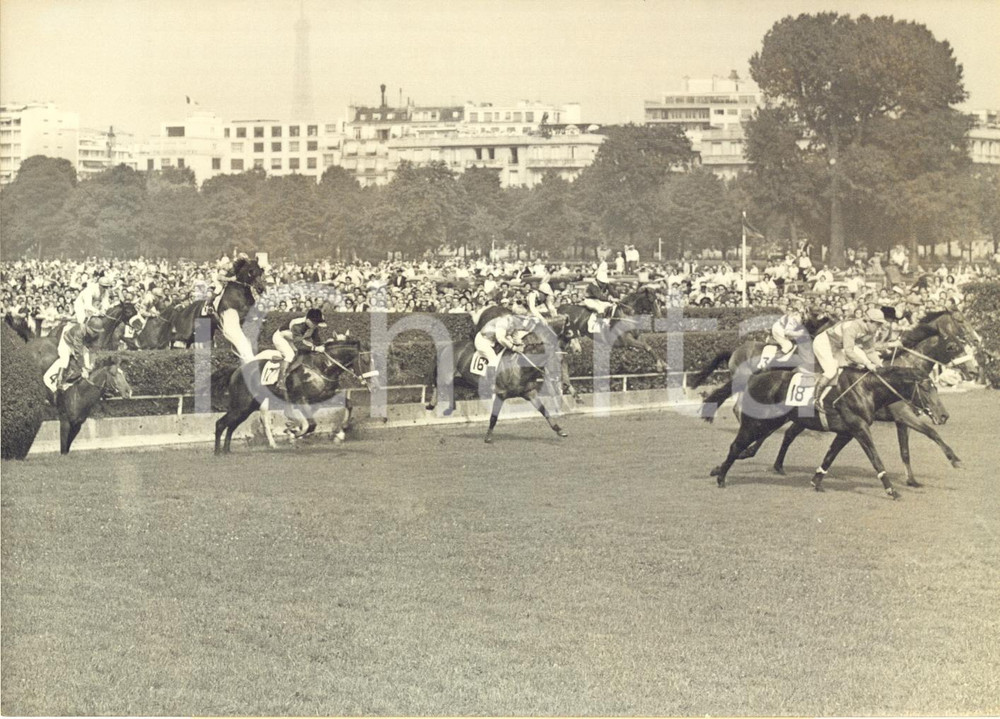 1960 AUTEUIL Grand Steeplechase de Paris - Passage vainqueur Kingcraft *Photo