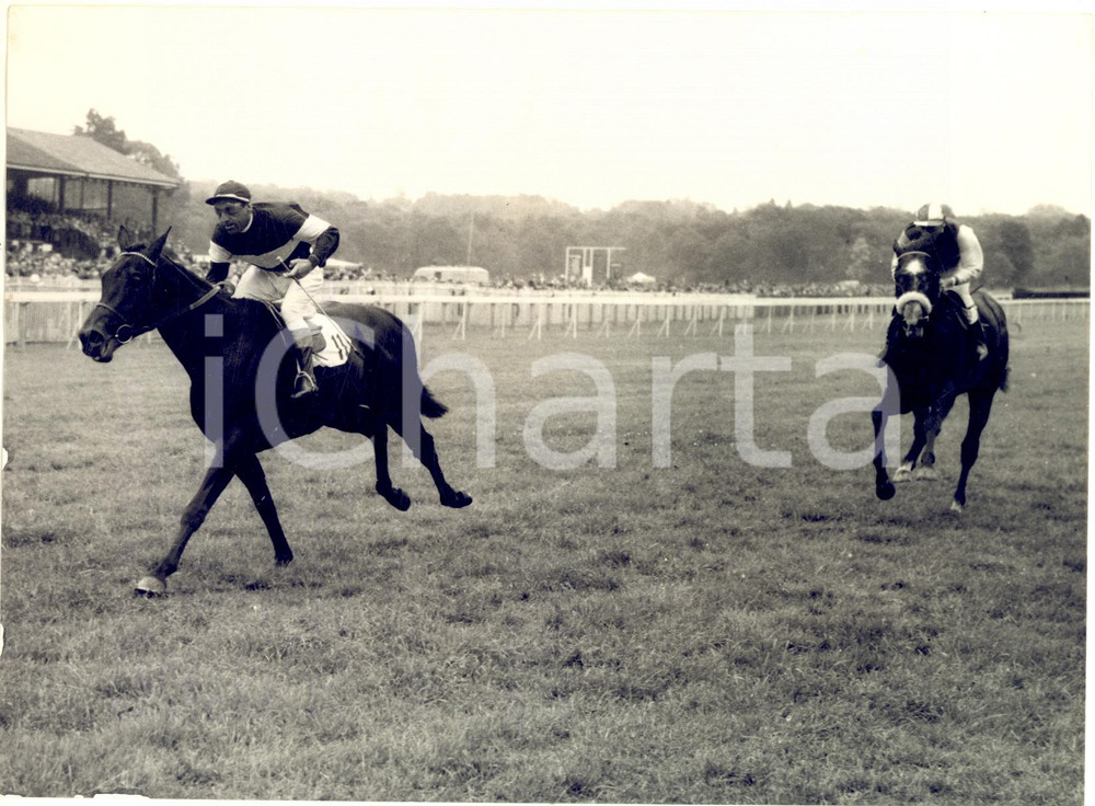 1956 LINGFIELD Derby Trial Stakes - Easy win for Induna with Charlie SMIRKE up