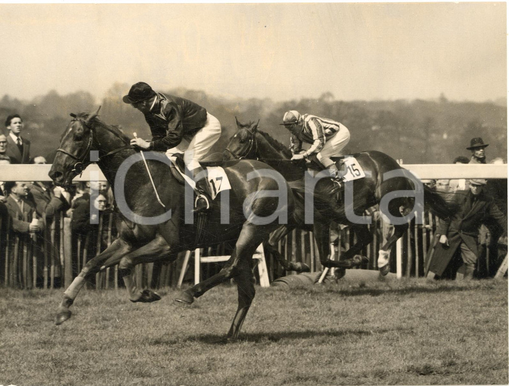 1956 SANDOWN PARK Almoner ridden by Doug SMITH wins the Esher Cup *Photo 20x15