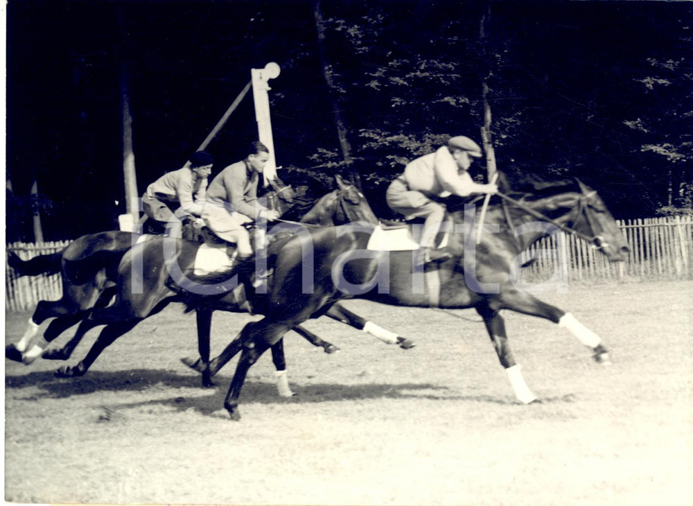 1953 CHANTILLY Cavallo PHAREL in allenamento per il Gran Prix de Paris *Foto