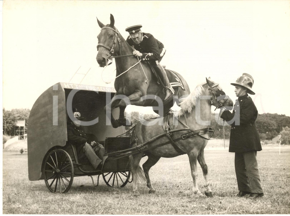 1956 ALDERSHOT Rushmoor Arena - Jumper Alan OLIVER during rehearsals *Photo