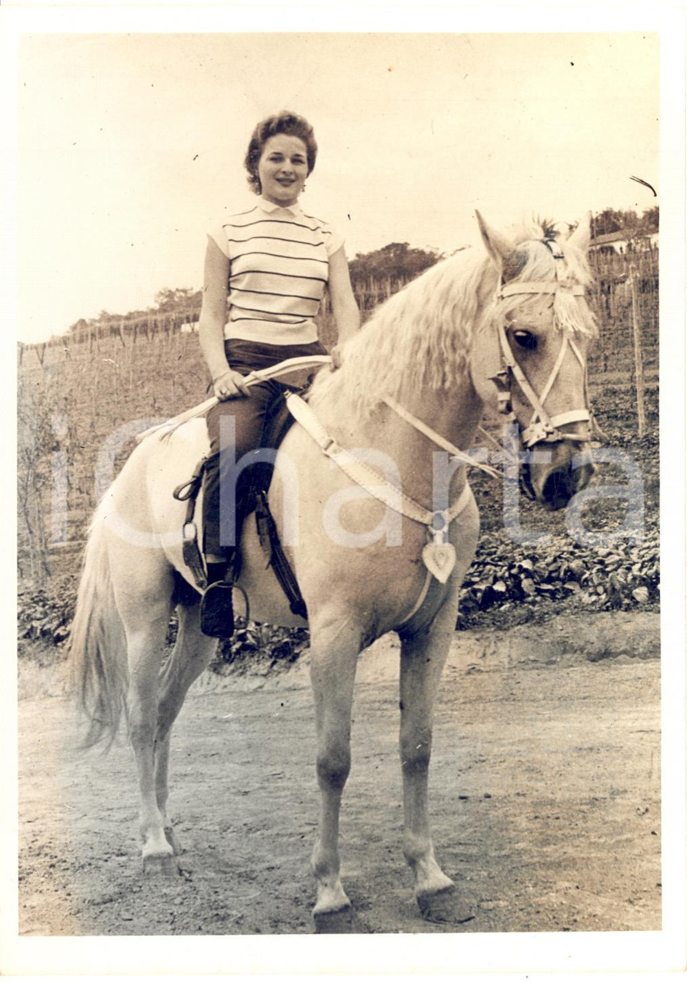 1955 s. l. MISS MONDO Etel CHIARONI Miss BRASILE a cavallo - Foto 13x18 cm
