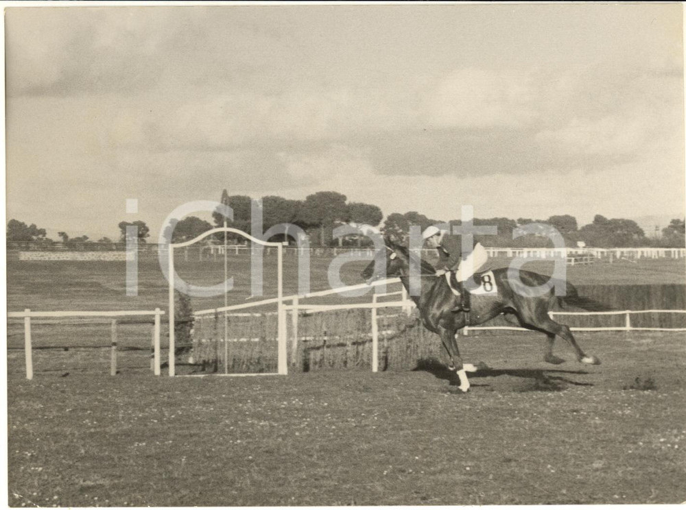 1957 ROMA CAPANNELLE - IPPICA - Gran Premio di Siepi - Vincitore Spegasso - Foto